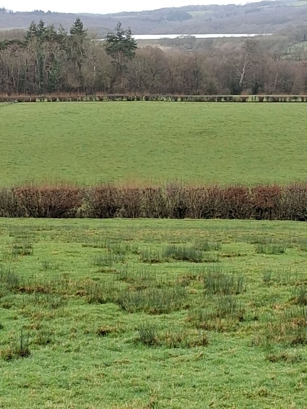 View towards Darwell